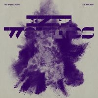 Wallflowers The - Exit Wounds (Nordic Exclusive) i gruppen VINYL / Pop-Rock hos Bengans Skivbutik AB (3991272)