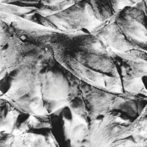 Tietchens Asmus/Miki Yui - Neues Boot i gruppen ÖVRIGT / Övrigt / aub hos Bengans Skivbutik AB (3994359)