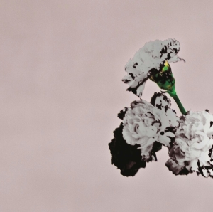 Legend John - Love In The Future (Special Edition) i gruppen ÖVRIGT / Övrigt / aub hos Bengans Skivbutik AB (4005256)