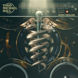 Todd Michael Hall - Sonic Healing i gruppen VINYL / Hårdrock hos Bengans Skivbutik AB (4014616)