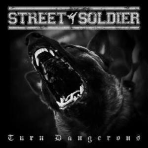Street Soldier - Turn Dangerous i gruppen CD / Rock hos Bengans Skivbutik AB (4019289)