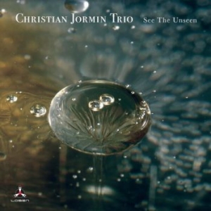 Christian Jormin Trio - See The Unseen i gruppen CD / Jazz/Blues hos Bengans Skivbutik AB (4030275)