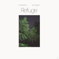 Devendra Banhart & Noah Georgeson - Refuge (Blue Seaglass Wave Transluc i gruppen VINYL / Pop-Rock hos Bengans Skivbutik AB (4033555)