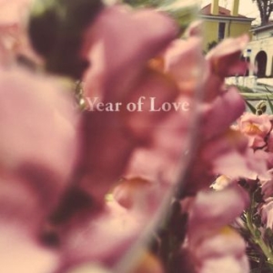 Beta Radio - Year Of Love i gruppen VINYL / Pop hos Bengans Skivbutik AB (4044629)
