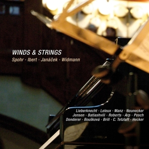 Spohr - Winds & Strings i gruppen CD / Klassiskt,Övrigt hos Bengans Skivbutik AB (4046242)