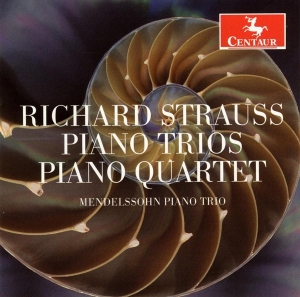 Mendelssohn Piano Trio - Richard Strauss i gruppen CD / Klassiskt,Övrigt hos Bengans Skivbutik AB (4047945)