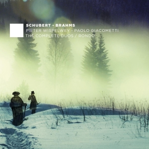 Schubert/Brahms - Complete Duos/Rondo i gruppen CD / Klassiskt,Övrigt hos Bengans Skivbutik AB (4048220)