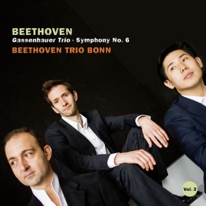 Beethoven Trio Bonn - Beethoven, Gassenhauer Trio & Symphony No.6 i gruppen CD / Klassiskt,Övrigt hos Bengans Skivbutik AB (4048901)