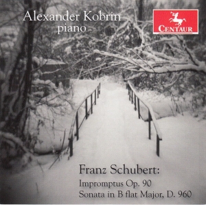 Alexander Kobrin - Franz Schubert i gruppen CD / Klassiskt,Övrigt hos Bengans Skivbutik AB (4048916)