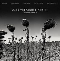 Dark Star Safari - Walk Through Lightly i gruppen VINYL / Pop-Rock hos Bengans Skivbutik AB (4053895)