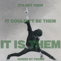 Guided By Voices - It's Not Them It Couldn't Be Them I i gruppen VI TIPSAR / Julklappstips Vinyl hos Bengans Skivbutik AB (4054061)