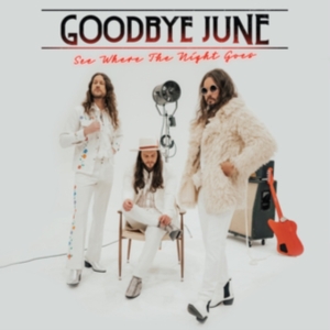 Goodbye June - See Where The Night Goes (Black Vin i gruppen VINYL / Hårdrock,Pop-Rock hos Bengans Skivbutik AB (4057134)