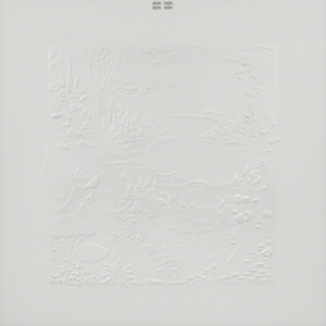 Bon Iver - Bon Iver 10Th Anniversary Edition i gruppen CD / Pop-Rock hos Bengans Skivbutik AB (4060953)