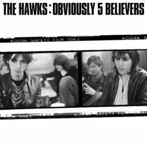 Hawks - Obviously 5 Believers i gruppen VINYL / Rock hos Bengans Skivbutik AB (4069274)