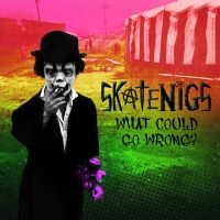 Skatenigs - What Could Go Wrong? i gruppen CD / Pop-Rock hos Bengans Skivbutik AB (4075146)