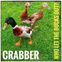 Crabber - Who Let The Ducks Out? i gruppen CD / Pop-Rock hos Bengans Skivbutik AB (4077055)