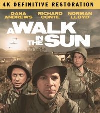 A Walk In The Sun: The Definitive R - Film (2Br) i gruppen MUSIK / Musik Blu-Ray / Film-Musikal hos Bengans Skivbutik AB (4077109)