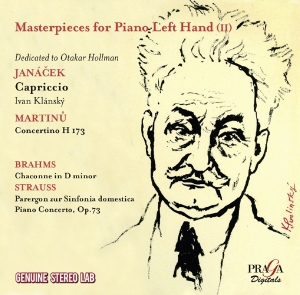 V/A - Masterpieces For Piano Left Hand 2 i gruppen CD / Klassiskt,Övrigt hos Bengans Skivbutik AB (4080430)