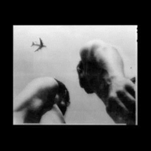 Adams Eve - Metal Bird i gruppen VINYL / Elektroniskt,Svensk Folkmusik,World Music hos Bengans Skivbutik AB (4095131)