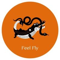 Feel Fly - Cosmo Cosmo i gruppen VINYL / Dance-Techno hos Bengans Skivbutik AB (4101517)