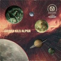 Melbourne Ska Orchestra - One Year Of Ska i gruppen CD / Reggae hos Bengans Skivbutik AB (4110159)