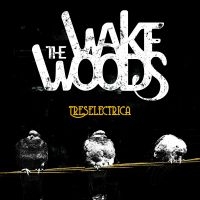 Wake Woods - Treselectrica i gruppen CD / Pop-Rock hos Bengans Skivbutik AB (4112163)