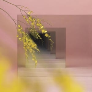 Witxes - Orients i gruppen CD / Ambient,Dance-Techno hos Bengans Skivbutik AB (4117756)