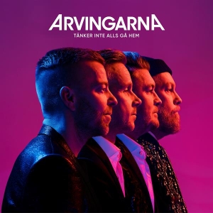 Arvingarna - Tänker Inte Alls Gå Hem (CD) i gruppen CD / Pop-Rock hos Bengans Skivbutik AB (4128370)