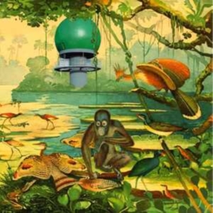 Various Artists - Radar 2 i gruppen VINYL / Pop-Rock hos Bengans Skivbutik AB (4131518)