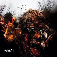 Vein.Fm - This World Is Going To Ruin Yo i gruppen VINYL / Hårdrock hos Bengans Skivbutik AB (4135239)