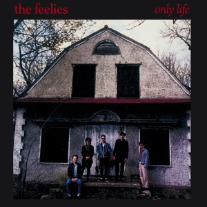 Feelies - Only Life i gruppen VI TIPSAR / Julklappstips CD hos Bengans Skivbutik AB (4154537)