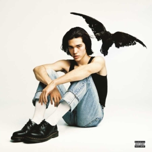 Gray Conan - Kid Krow i gruppen ÖVRIGT / Korr_grupp / Art.under.overvak250318 hos Bengans Skivbutik AB (4157669)