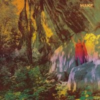 Wake - Thought Form Descent (Digipack) i gruppen VI TIPSAR / Julklappstips CD hos Bengans Skivbutik AB (4162425)