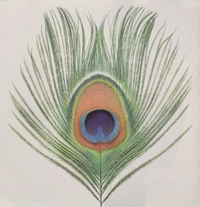 Xtc - Apple Venus (200 G.) i gruppen VINYL / Pop-Rock hos Bengans Skivbutik AB (4162703)