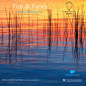 David Lefkowitz Diego Schissi - Fire & Fancy (Vinyl) i gruppen Externt_Lager / Naxoslager hos Bengans Skivbutik AB (4170769)