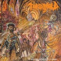 Tomb Mold - Manor Of Infinite Forms (Vinyl) i gruppen VINYL / Hårdrock hos Bengans Skivbutik AB (4171455)