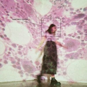Soccer Mommy - Sometimes, Forever (Indie Retail Ex i gruppen CD / Pop-Rock hos Bengans Skivbutik AB (4173965)