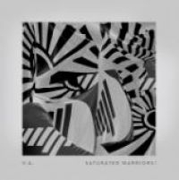 Blandade Artister - Saturated Warriors! i gruppen VINYL / Dance-Techno hos Bengans Skivbutik AB (4173986)