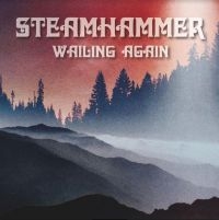 Steamhammer - Wailing Again i gruppen VINYL / Pop-Rock hos Bengans Skivbutik AB (4177246)