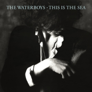 The Waterboys - This Is The Sea i gruppen ÖVRIGT / CRM - Irish Pop-Rock hos Bengans Skivbutik AB (4178683)