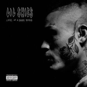 Lil Skies - Life Of A Dark Rose i gruppen ÖVRIGT / Övrigt / aub hos Bengans Skivbutik AB (4180829)