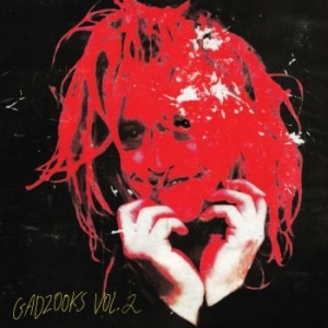 Caleb Landry Jones - Gadzooks Vol. 2 i gruppen CD / Pop-Rock hos Bengans Skivbutik AB (4191997)
