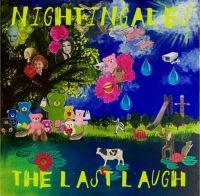 Nightingales - Last Laugh i gruppen CD / Pop-Rock hos Bengans Skivbutik AB (4200753)