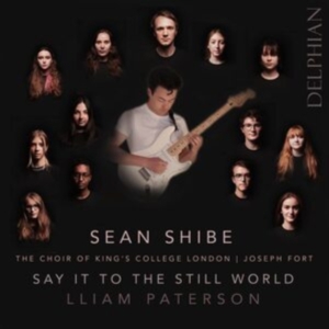 Paterson Lliam - Say It To The Still World i gruppen Externt_Lager / Naxoslager hos Bengans Skivbutik AB (4204195)