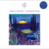 Mathieu Arno E. - Contemplation i gruppen VINYL / Pop-Rock hos Bengans Skivbutik AB (4205698)