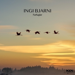 Ingi Bjarni - Farfuglar i gruppen CD / Jazz hos Bengans Skivbutik AB (4205933)