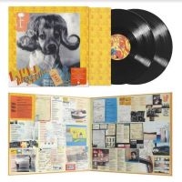 Mull Historical Society - Loss i gruppen VINYL / Pop-Rock hos Bengans Skivbutik AB (4206121)