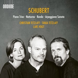 Schubert Franz - Piano Trios Notturno Rondo Arpeg i gruppen Externt_Lager / Naxoslager hos Bengans Skivbutik AB (4216775)