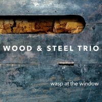 Wood & Steel Trio - Wasp At The Window i gruppen CD / Jazz hos Bengans Skivbutik AB (4222008)