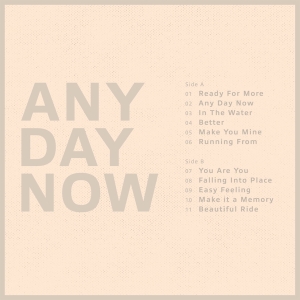 Krezip - Any Day Now i gruppen VI TIPSAR / Julklappstips Vinyl hos Bengans Skivbutik AB (4222169)